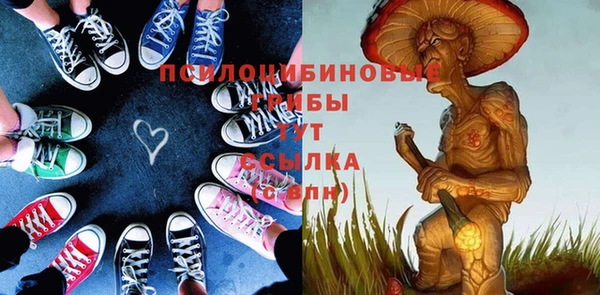 гашик Абаза