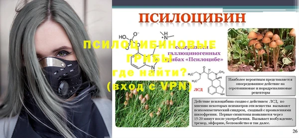 гашик Абаза