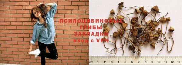 гидра Абинск