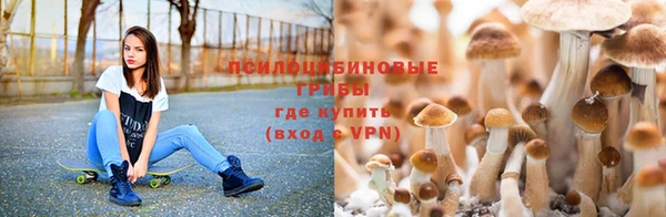 гидра Абинск