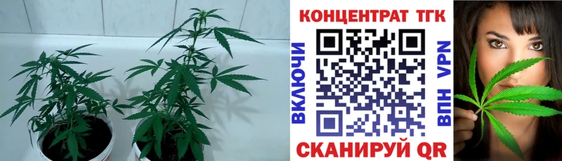 купить наркоту Абдулино Дистиллят ТГК THC oil